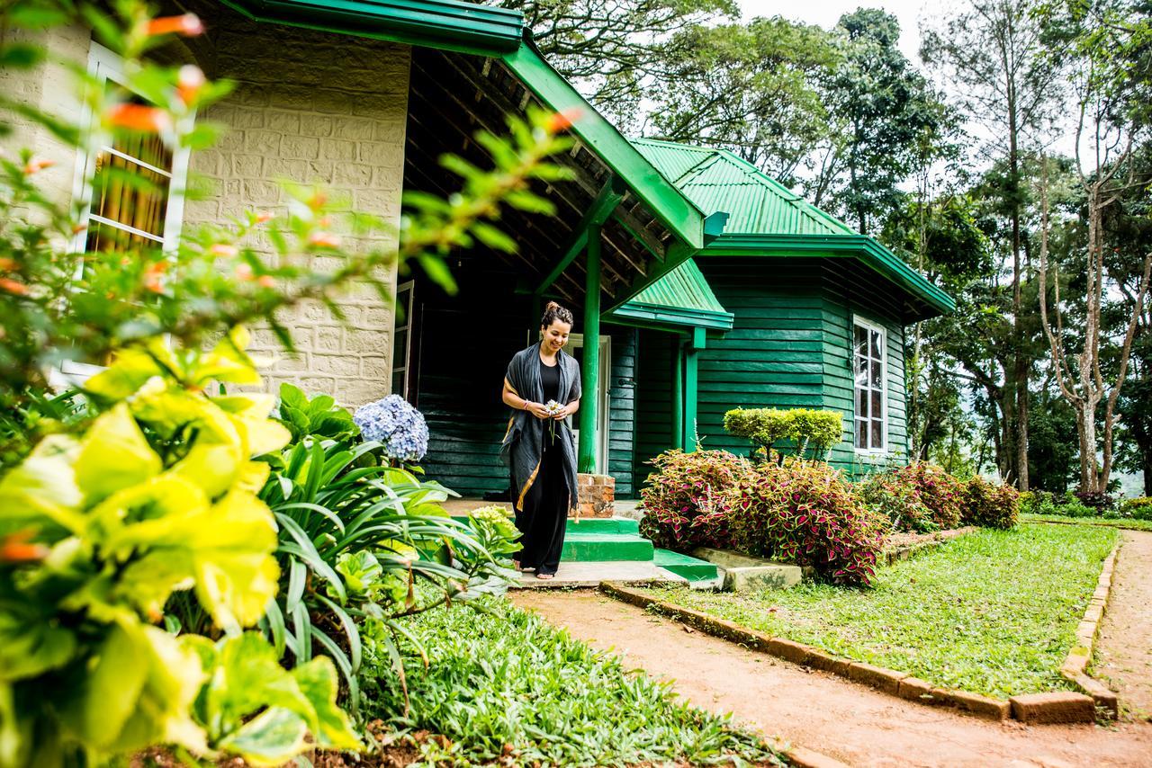 Royal Majesty Bungalow Hatton Exteriér fotografie